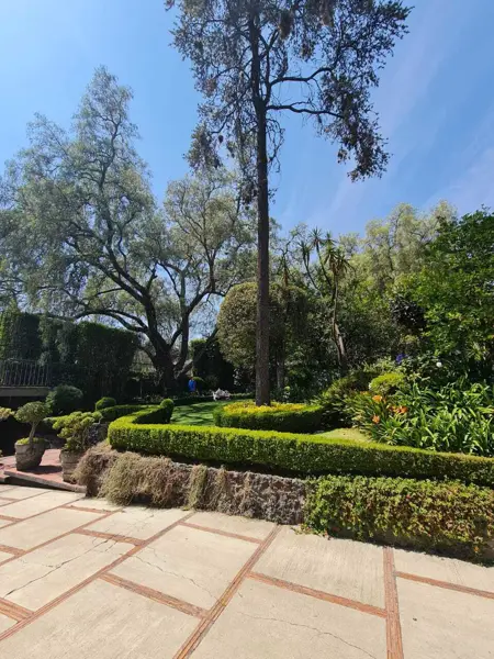 Casa en Venta en Jardines del Pedregal, Álvaro Obregón, Ciudad de México 4