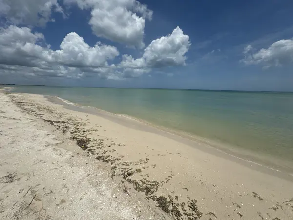 Terreno en venta en Sisal, Hunucmá — foto 2 de 5