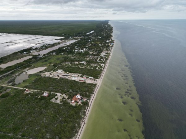 Terreno en venta con 28 metros lineales de playa en san crisanto Terreno en venta con 28 metros lineales de playa en san crisanto