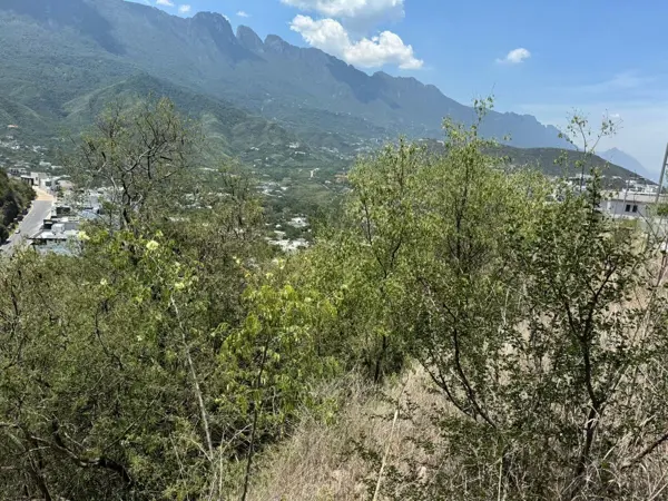 Terreno en Venta en Colonial San Agustin, San Pedro Garza García, Nuevo León 1