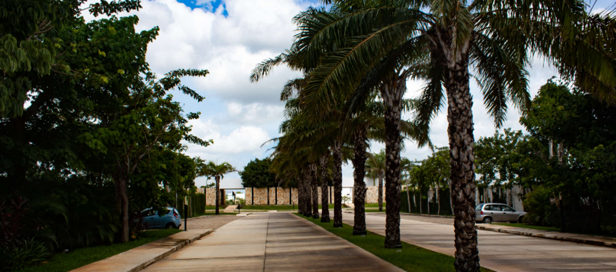 Terreno en venta en Cholul, Mérida — foto 1 de 13