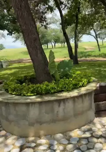 Terreno en Venta en Hualahuises Centro, Hualahuises, Nuevo León 4