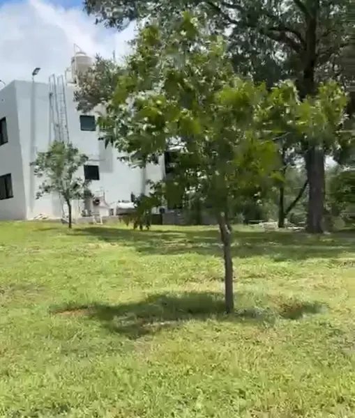 Terreno en Venta en Hualahuises Centro, Hualahuises, Nuevo León 2