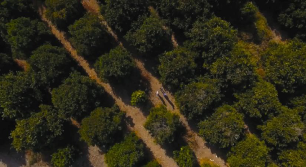 Terreno en Venta en Atongo de Abajo, Cadereyta Jiménez, Nuevo León 2