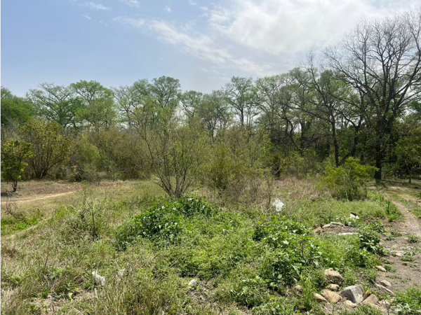 Terreno en Venta en Atongo de Abajo, Cadereyta Jiménez, Nuevo León 1