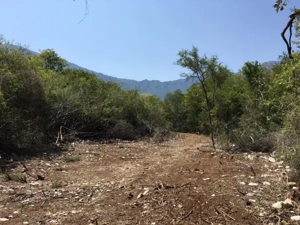 Terreno en Venta en El Barrial, Santiago, Nuevo León 4