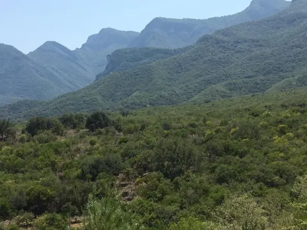 Terreno en Venta en El Barrial, Santiago, Nuevo León 2