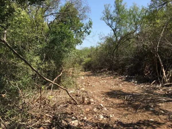 Terreno en Venta en El Barrial, Santiago, Nuevo León 5