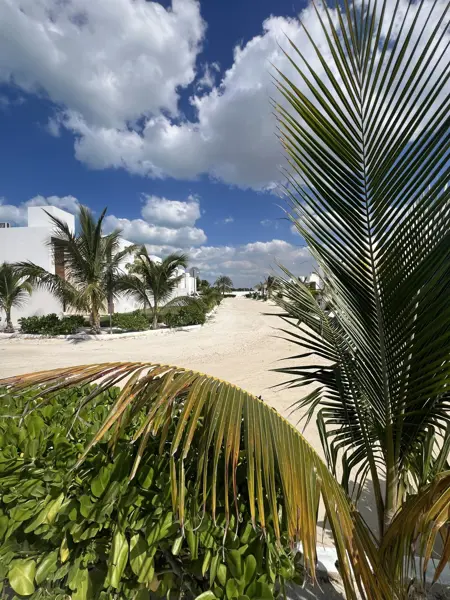 Terreno en venta en Chelem, Progreso — foto 3 de 6