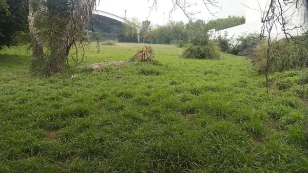 Terreno en Venta en Zona Jeronimo Siller, San Pedro Garza García, Nuevo León 1