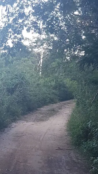 Terreno en venta en Hocaba, Hocabá — foto 2 de 11