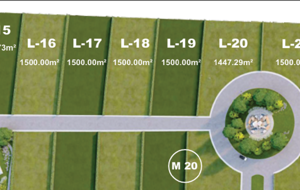 Terreno en Venta en Montemorelos Centro, Montemorelos, Nuevo León 3