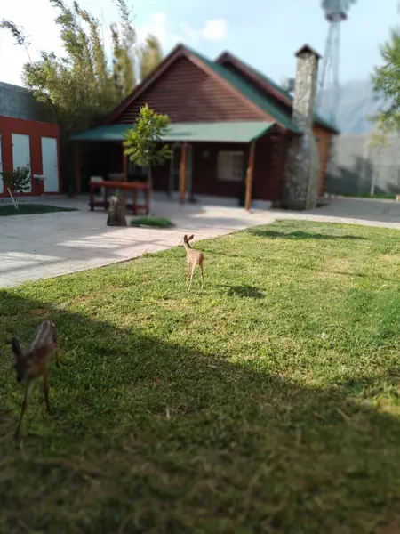 Terreno en Venta en Mina, Mina, Nuevo León 4