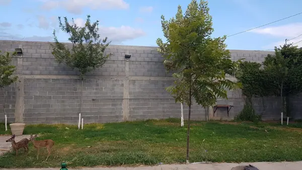 Terreno en Venta en Mina, Mina, Nuevo León 3