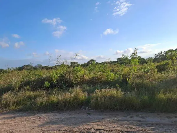 Terreno en venta en Temozon Norte, Mérida — foto 2 de 5