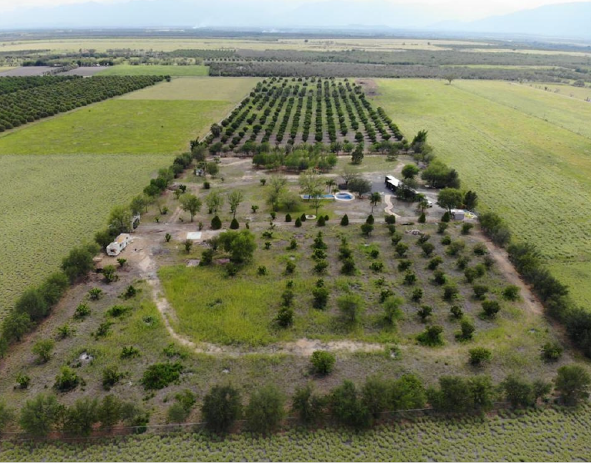 Terreno en venta en Atongo de Abajo (Atongo Allende), Allende — foto 1 de 15