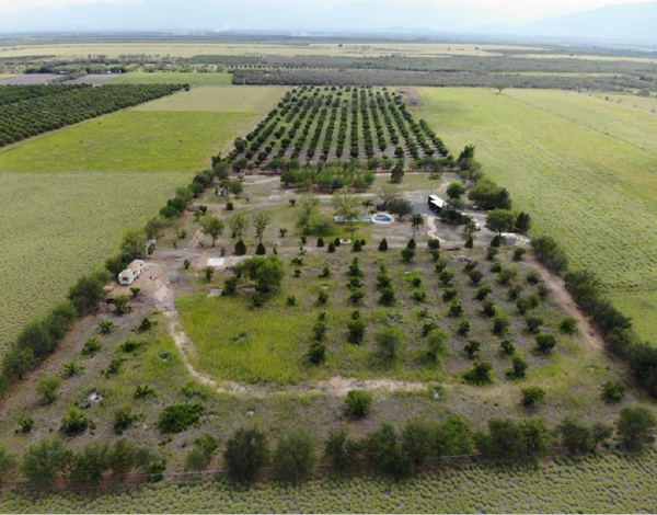 Terreno en Venta en Atongo de Abajo (Atongo Allende), Allende, Nuevo León 1
