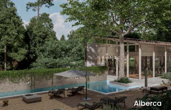 Terreno en Venta en Valle Alto, Santiago, Nuevo León 4