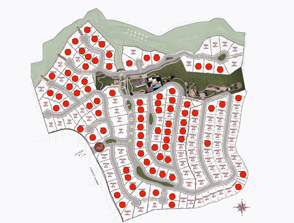 Terreno en Venta en Valle Alto, Santiago, Nuevo León 2