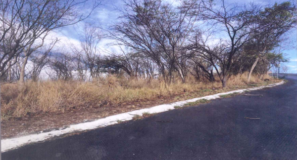 Terreno en Venta en Los Cristales, Monterrey, Nuevo León 3