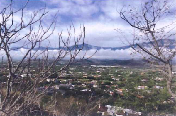 Terreno en Venta en Los Cristales, Monterrey, Nuevo León 5