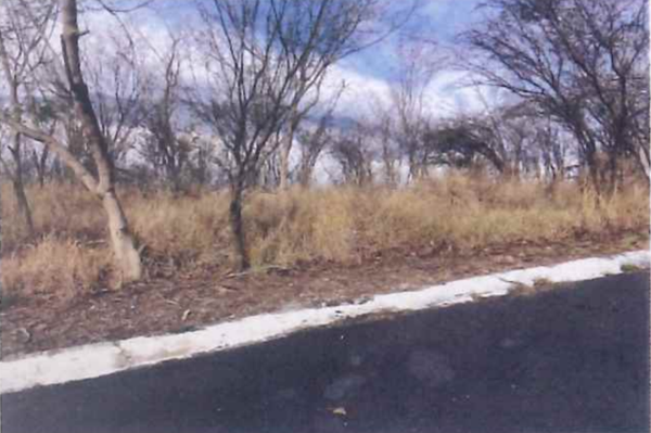 Terreno en Venta en Los Cristales, Monterrey, Nuevo León 4