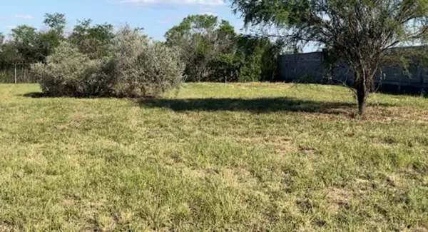 Terreno en Venta en Canoas, Montemorelos, Nuevo León 2