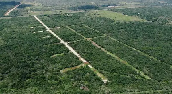 Terreno en venta en Jardines de Mérida, Mérida — foto 2 de 8