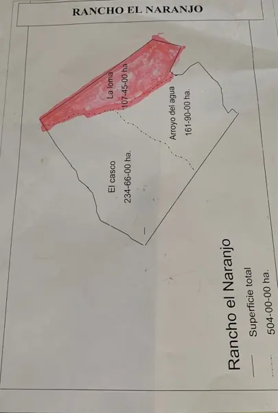 Terreno en Venta en Montemorelos Centro, Montemorelos, Nuevo León 3