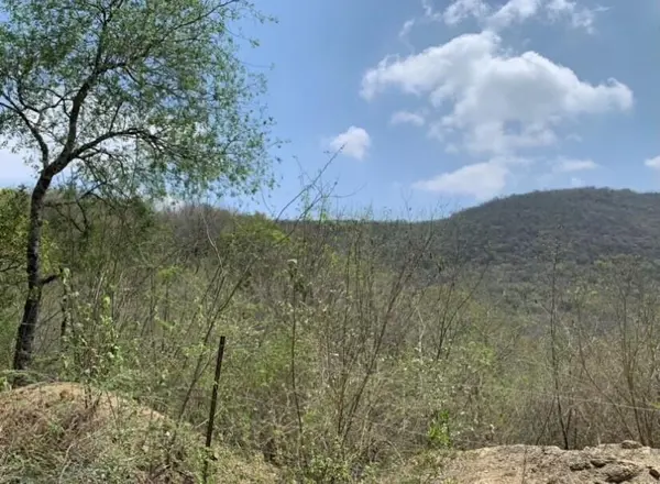 Terreno en Venta en Montemorelos Centro, Montemorelos, Nuevo León 4