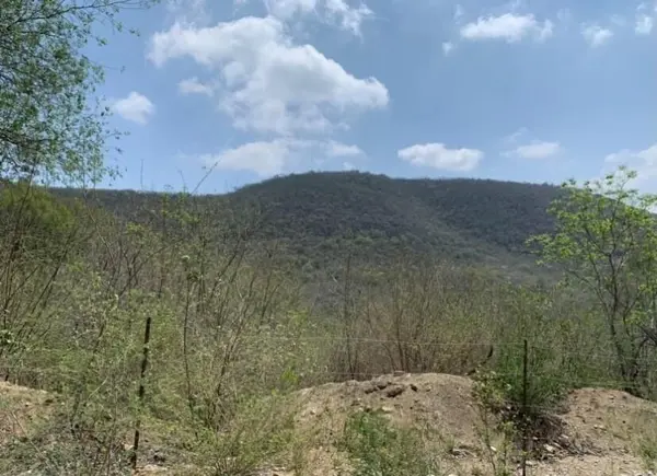 Terreno en Venta en Montemorelos Centro, Montemorelos, Nuevo León 5