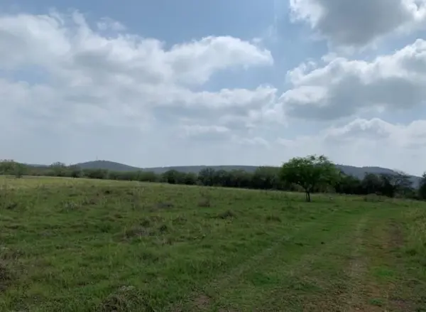 Terreno en Venta en Montemorelos Centro, Montemorelos, Nuevo León 1