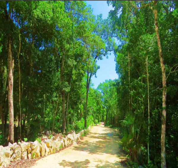 Terreno en Venta en Ciudad Chemuyil, Tulum, Quintana Roo 3