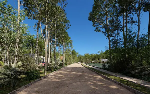 Terreno en Venta en Felipe Carrillo Puerto Centro, Felipe Carrillo Puerto, Quintana Roo 4