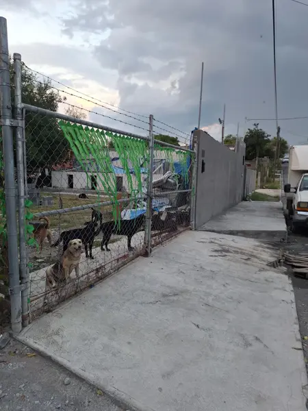 Terreno en Venta en 31 de Diciembre, Guadalupe, Nuevo León 5