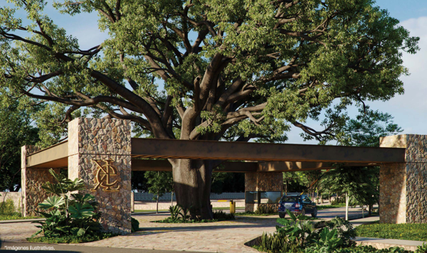 Terreno en Venta en San Ignacio Tesip, Mérida, Yucatán 1