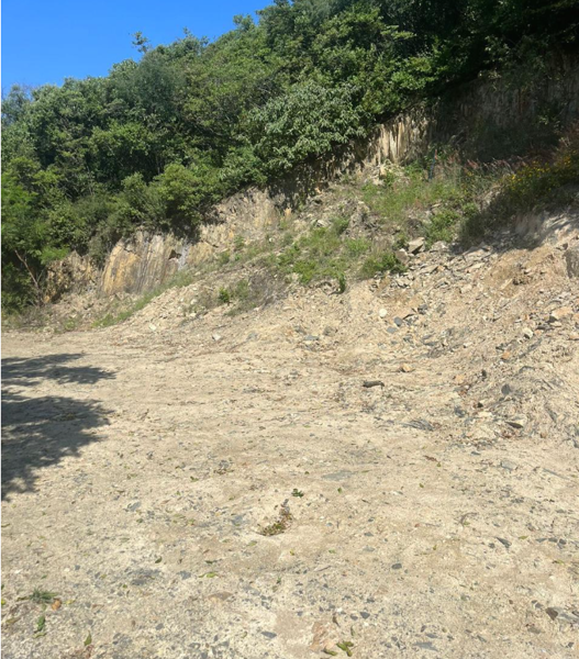 Terreno en Venta en Los Cristales, Monterrey, Nuevo León 3