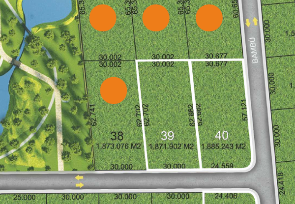 Terreno en Venta en Canoas, Montemorelos, Nuevo León 4