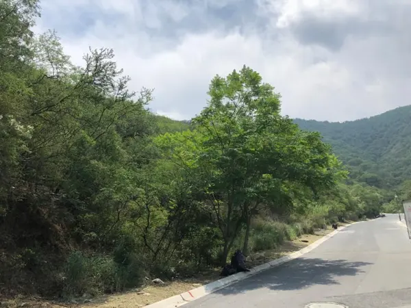 Terreno en Venta en Renacimiento, Monterrey, Nuevo León 1
