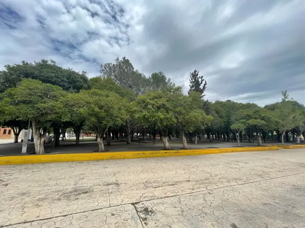 Terreno en Venta en San Antonio de las Alazanas, Arteaga, Coahuila de Zaragoza 5