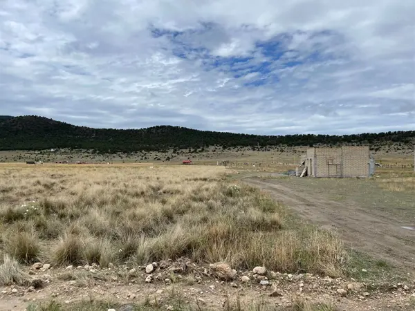 Terreno en Venta en San Antonio de las Alazanas, Arteaga, Coahuila de Zaragoza 4