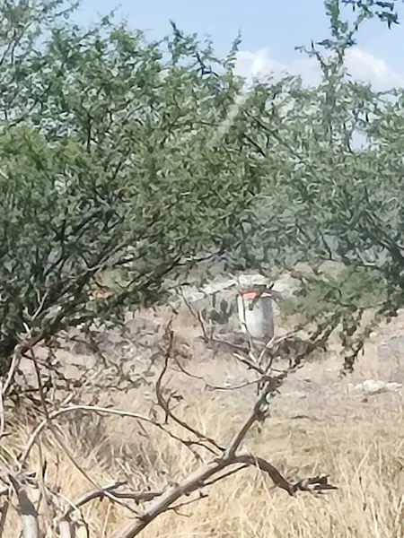 Terreno en Venta en Tlacote El Bajo, Querétaro, Querétaro 3
