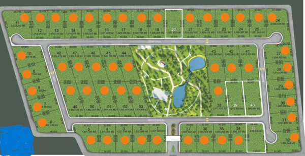 Terreno en Venta en Canoas, Montemorelos, Nuevo León 3