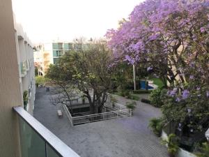 Departamento en venta en Jacarandas, Cuernavaca — foto 2 de 11