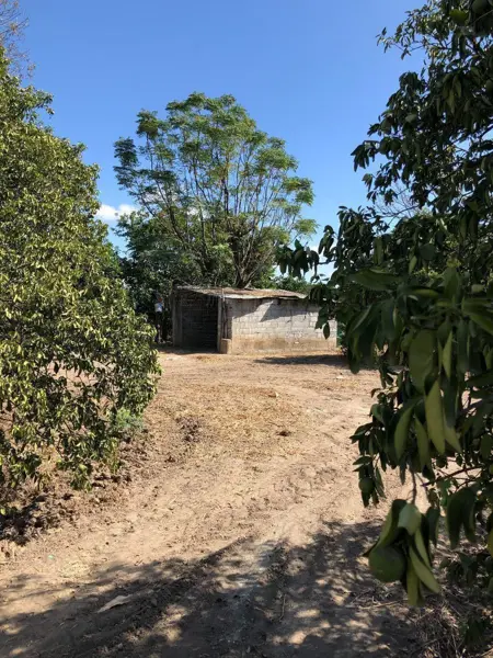 Terreno en Venta en Infonavit Rio Verde, Linares, Nuevo León 4