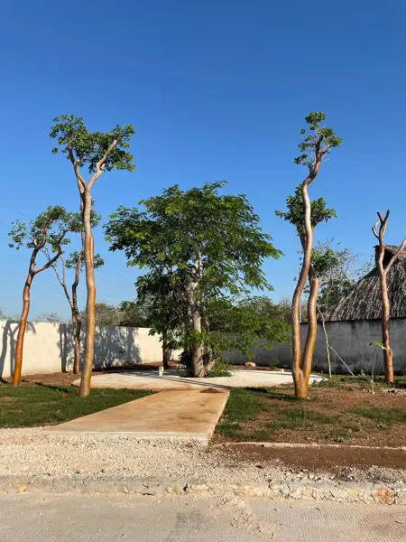 Terreno en venta en Cholul, Mérida — foto 3 de 17