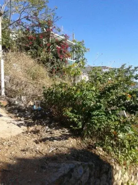 Terreno en venta en La Laja, Acapulco de Juárez — foto 2 de 6