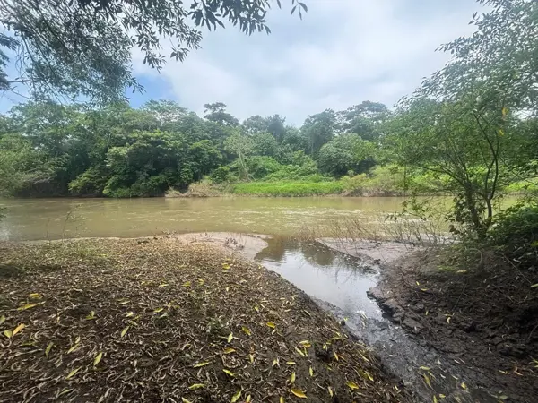 Terreno en venta en Potrerillo, Medellín de Bravo — foto 3 de 6