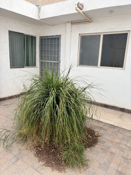 Casa en venta en Residencial Campestre la Rosita, Torreón — foto 2 de 11