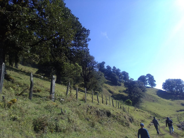 Terreno en venta en Lomas de Chapultepec, Xalapa — foto 3 de 16